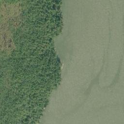 Satellite imagery of Lizard Point, CA