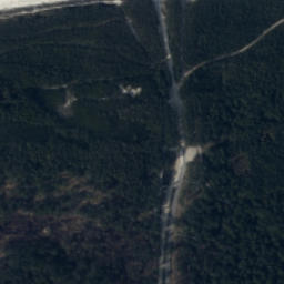 Satelita