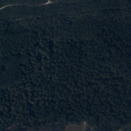 Satelita
