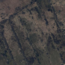 Satelita