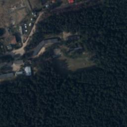 Satelita