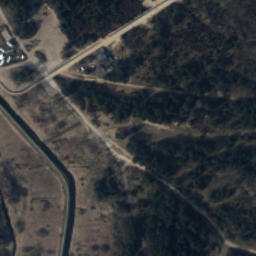 Satelita