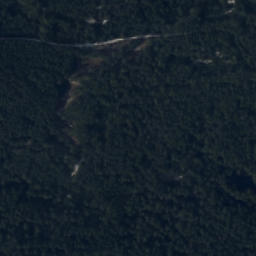 Satelita