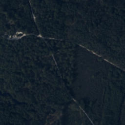 Satelita