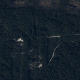 Satelita