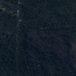 Satelita