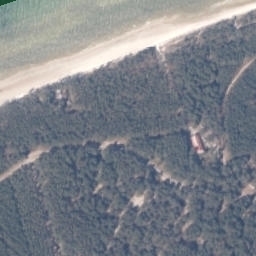 Satelita