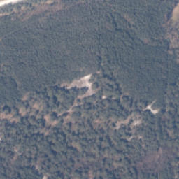 Satelita
