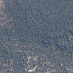 Satelita