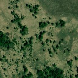 Satellite imagery of Боровушка, KZ