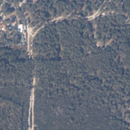 Satelita