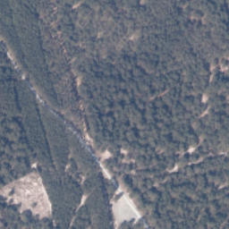 Satelita
