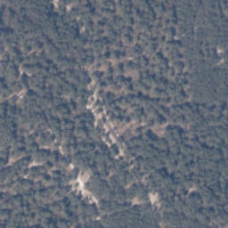 Satelita