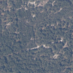 Satelita