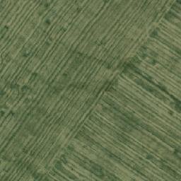 Satellite imagery of Мал. Тарабариха, KZ