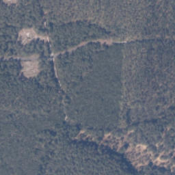 Satelita