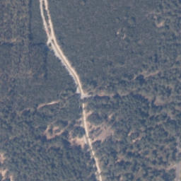 Satelita