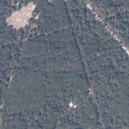 Satelita