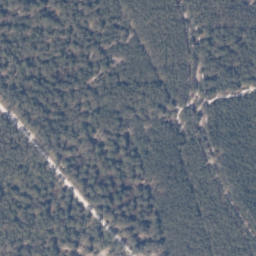 Satelita
