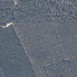 Satelita