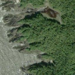 Satellite imagery of Tree Point, US