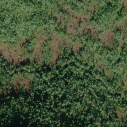 Satellite imagery of Green Ridge, US