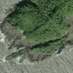 Satellite imagery of Tree Point, US