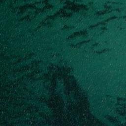 Satellite imagery of Birknack, DE