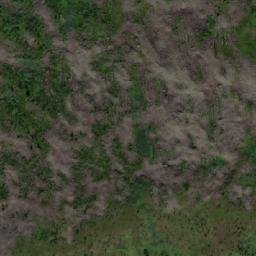 Satellite imagery of Медвежья, RU
