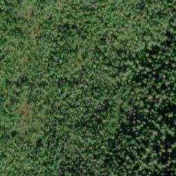 Satellite imagery of Green Ridge, US