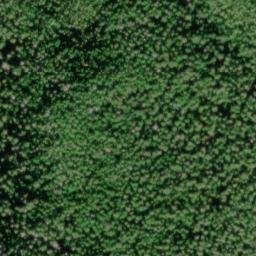 Satellite imagery of Green Ridge, US
