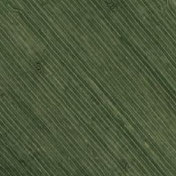 Satellite imagery of Павловский, KZ