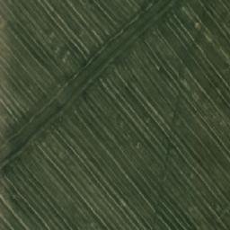 Satellite imagery of Павловский, KZ