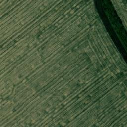 Satellite imagery of Петрушиха, KZ