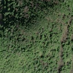 Satellite imagery of Parrot Point, US