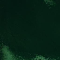 Satelita