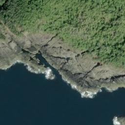 Satellite imagery of Parrot Point, US