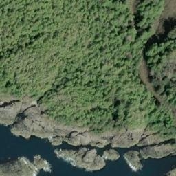 Satellite imagery of Parrot Point, US