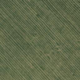 Satellite imagery of Шелковиха, KZ