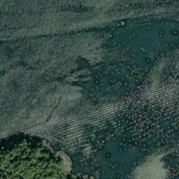 Satellite imagery of Phipp Point, CA