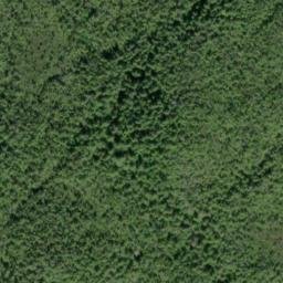 Satellite imagery of Dark Point, US
