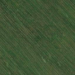 Satellite imagery of Чесноково, KZ