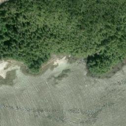 Satellite imagery of Cape Fox, US