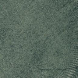 Satellite imagery of Bartlett Point, CA