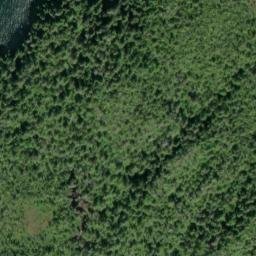 Satellite imagery of Bartlett Point, CA
