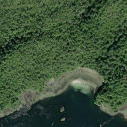Satellite imagery of Bartlett Point, CA