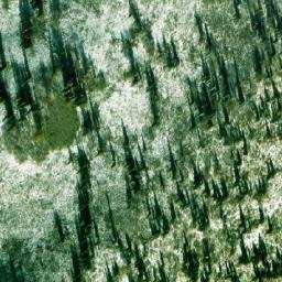 Satellite imagery of Топкая Медвежка, KZ