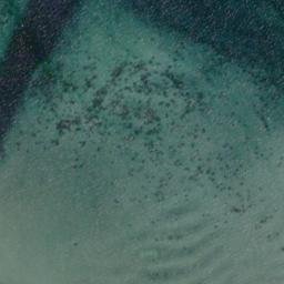 Satellite imagery of Geltingmole, DE