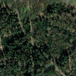 Satellite imagery of Trommelberg, DE