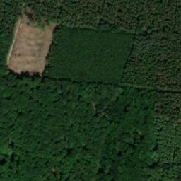 Satellite imagery of Maglehøj, DK